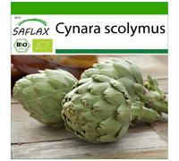 SAFLAX - BIO - Artichaut - Imperial star - 5 graines - Avec substrat - Cynara