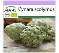 SAFLAX - BIO - Artichaut - Imperial star - 5 graines - Cynara scolymus