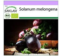 SAFLAX - BIO - Aubergine - Beauté noire - 25 graines - Solanum melongena