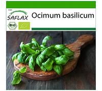 SAFLAX - BIO - Basilic - Génois - 800 graines - Ocimum basilicum