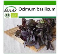 SAFLAX - BIO - Basilic - Pourpre - 400 graines - Avec substrat de culture aseptique - Ocimum basilicum