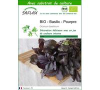 SAFLAX - BIO - Basilic - Pourpre - 400 graines - Avec substrat - Ocimum