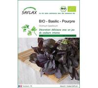 SAFLAX - BIO - Basilic - Pourpre - 400 graines - Ocimum