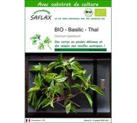SAFLAX - BIO - Basilic - Thaï - 250 graines - Avec substrat - Ocimum
