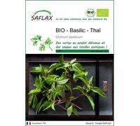 SAFLAX - BIO - Basilic - Thaï - 250 graines - Ocimum