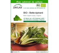 SAFLAX - BIO - Bette-épinard - 150 graines - Avec substrat - Beta