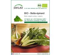 SAFLAX - BIO - Bette-épinard - 150 graines - Beta