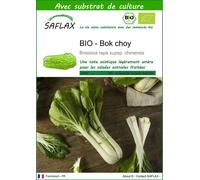 SAFLAX - BIO - Bok choy - 300 graines - Avec substrat - Brassica