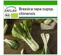 SAFLAX - BIO - Bok choy - 300 graines - Brassica rapa