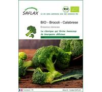 SAFLAX - BIO - Brocoli - Calabrese - 100 graines - Brassica