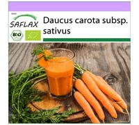 SAFLAX - BIO - Carottes - Early Nantes - 1500 graines - Daucus carota