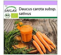SAFLAX - BIO - Carottes - Early Nantes - 1500 graines - Daucus carota