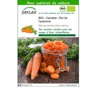 SAFLAX - BIO - Carottes - Roi de l'automne - 1000 graines - Avec substrat - Daucus