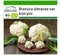SAFLAX - BIO - Chou-fleur - Boule de neige - 70 graines - Avec substrat - Brassica