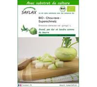 SAFLAX - BIO - Chou-rave - Superschmelz - 20 graines - Avec substrat - Brassica