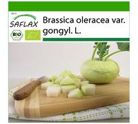 SAFLAX - BIO - Chou-rave - Superschmelz - 20 graines - Avec substrat - Brassica