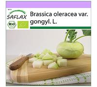 SAFLAX - BIO - Chou-rave - Superschmelz - 20 graines - Brassica oleracea