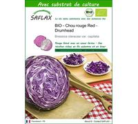 SAFLAX - BIO - Chou rouge Red - Drumhead - 250 graines - Avec substrat - Brassica