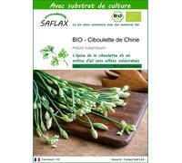 SAFLAX - BIO - Ciboulette de Chine - 100 graines - Avec substrat - Allium