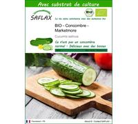 SAFLAX - BIO - Concombre - Marketmore - 20 graines - Avec substrat - Cucumis