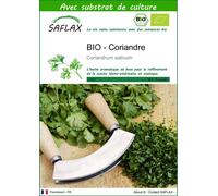 SAFLAX - BIO - Coriandre - 150 graines - Avec substrat - Coriandrum