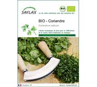 SAFLAX - BIO - Coriandre - 150 graines - Coriandrum