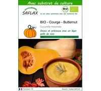 SAFLAX - BIO - Courge - Butternut - 6 graines - Avec substrat - Cucurbita