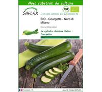 SAFLAX - BIO - Courgette - Nero di Milano - 6 graines - Avec substrat - Cucurbita