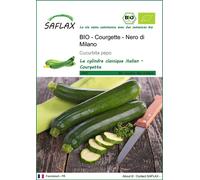SAFLAX - BIO - Courgette - Nero di Milano - 6 graines - Cucurbita