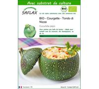 SAFLAX - BIO - Courgette - Tondo di Nizza - 5 graines - Avec substrat - Cucurbita