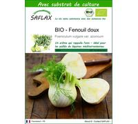 SAFLAX - BIO - Fenouil doux - 100 graines - Avec substrat - Foeniculum