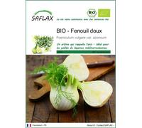 SAFLAX - BIO - Fenouil doux - 100 graines - Foeniculum