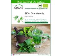 SAFLAX - BIO - Grande ortie - 2000 graines - Avec substrat - Urtica
