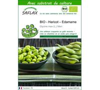 SAFLAX - BIO - Haricot – Edamame - 8 graines - Avec substrat - Glycine