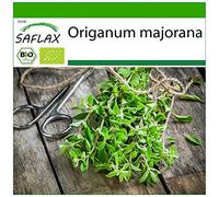 SAFLAX - BIO - Marjolaine - 700 graines - Avec substrat de culture aseptique - Origanum majorana