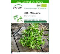 SAFLAX - BIO - Marjolaine - 700 graines - Avec substrat - Origanum