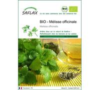 SAFLAX - BIO - Mélisse officinale - 1000 graines - Melissa