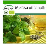 SAFLAX - BIO - Mélisse officinale - 1000 graines - Melissa officinalis