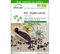SAFLAX - BIO - Nigelle cultivée - 300 graines - Avec substrat - Nigella