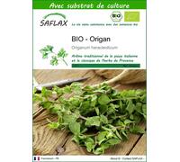 SAFLAX - BIO - Origan - 1500 graines - Avec substrat - Origanum