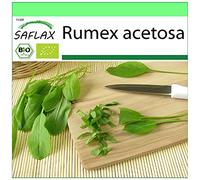 SAFLAX - BIO - Oseille commune - 400 graines - Rumex acetosa