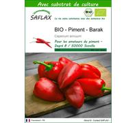 SAFLAX - BIO - Piment - Barak - 15 graines - Avec substrat - Capsicum