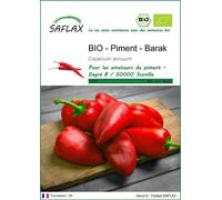 SAFLAX - BIO - Piment - Barak - 15 graines - Capsicum