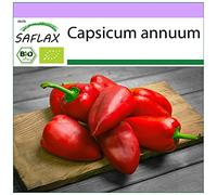 SAFLAX - BIO - Piment - Barak - 15 graines - Capsicum