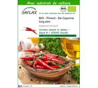 SAFLAX - BIO - Piment - De Cayenne long slim - 10 graines - Avec substrat - Capsicum