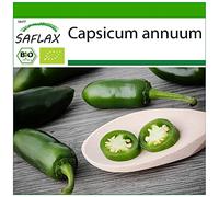 SAFLAX - BIO - Piment - Early jalapeno - 20 graines - Avec substrat de culture aseptique - Capsicum annuum