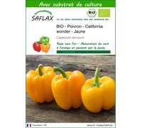 SAFLAX - BIO - Poivron - California wonder - Jaune - 20 graines - Avec substrat - Capsicum
