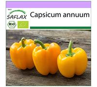 SAFLAX - BIO - Poivron - California wonder - Jaune - 20 graines - Capsicum annuum