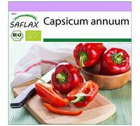 SAFLAX - BIO - Poivron - California wonder - Rouge - 20 graines - Capsicum annuum