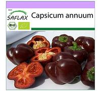 SAFLAX - BIO - Poivron - Chocolat doux - 10 graines - Capsicum annuum